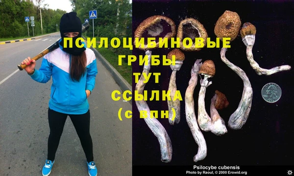 2c-b Сафоново