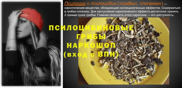 винт Арсеньев