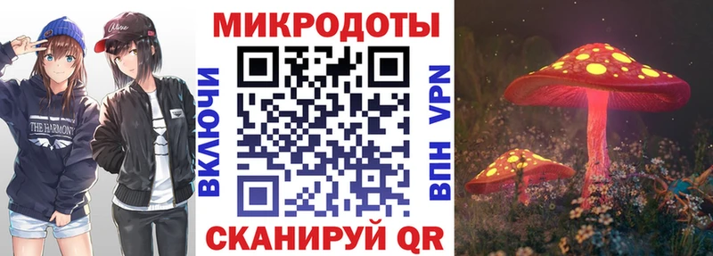 продажа наркотиков Лодейное Поле hydra ТОР Псилоцибиновые грибы Cubensis